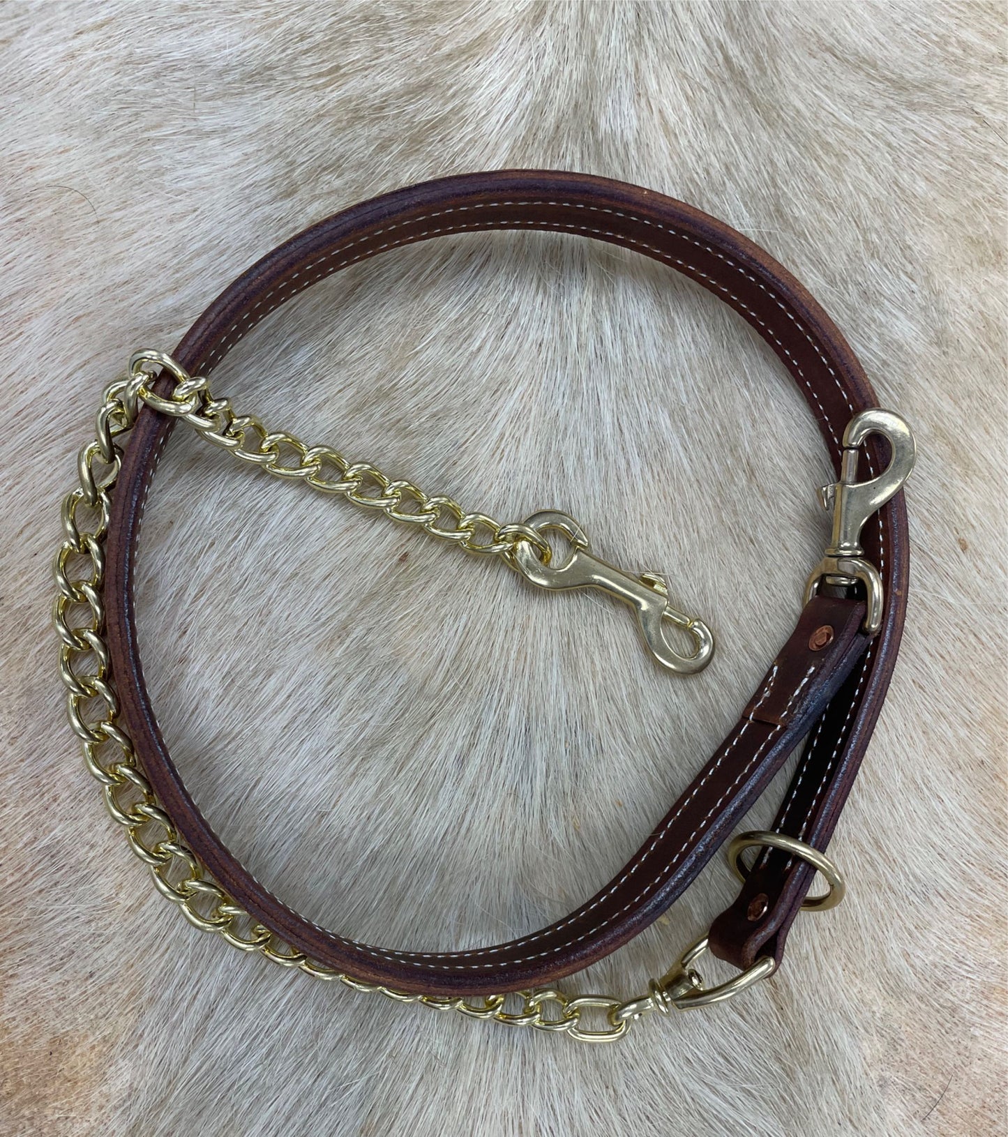 Dog Lead