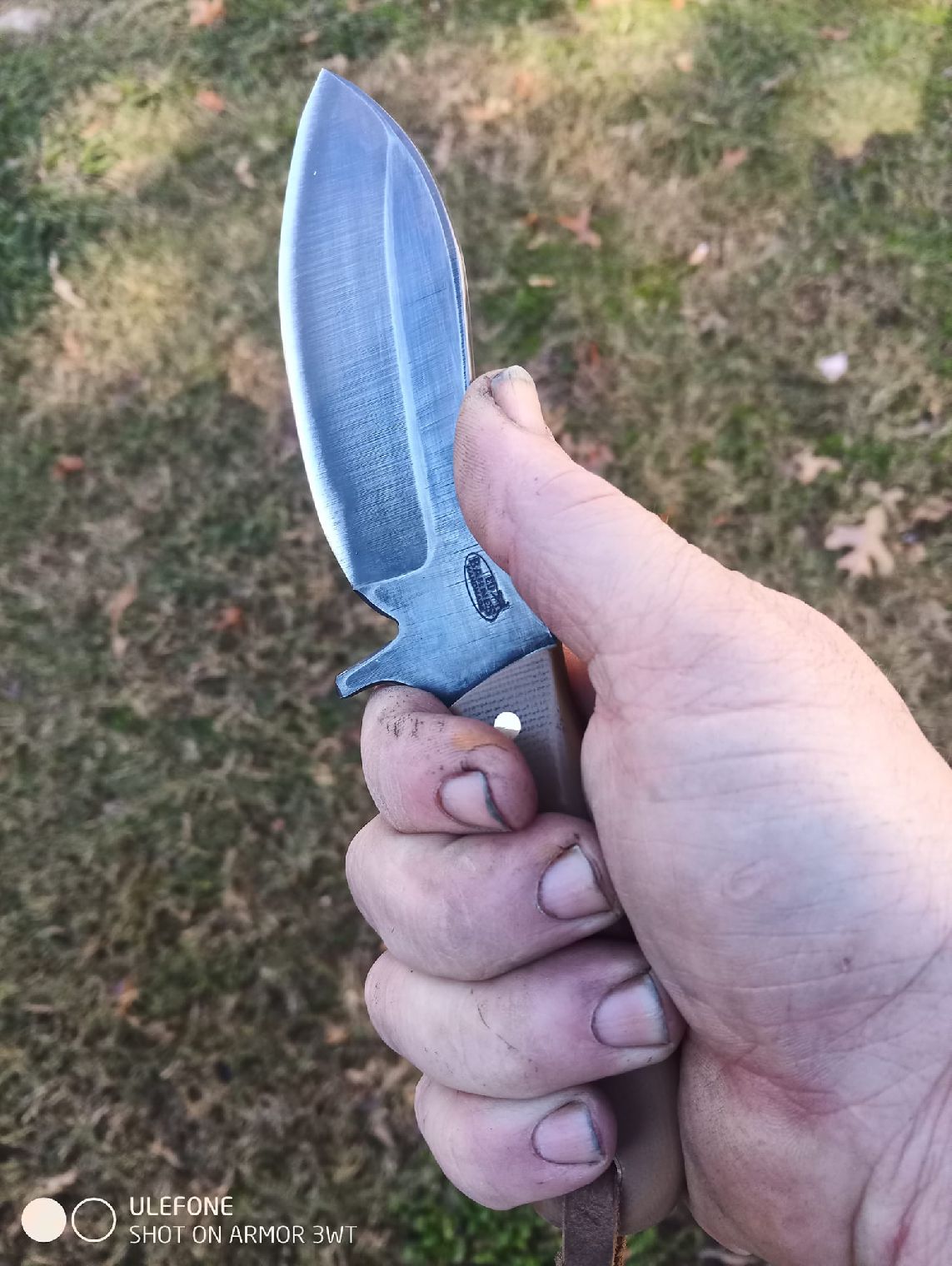 Large Skinner